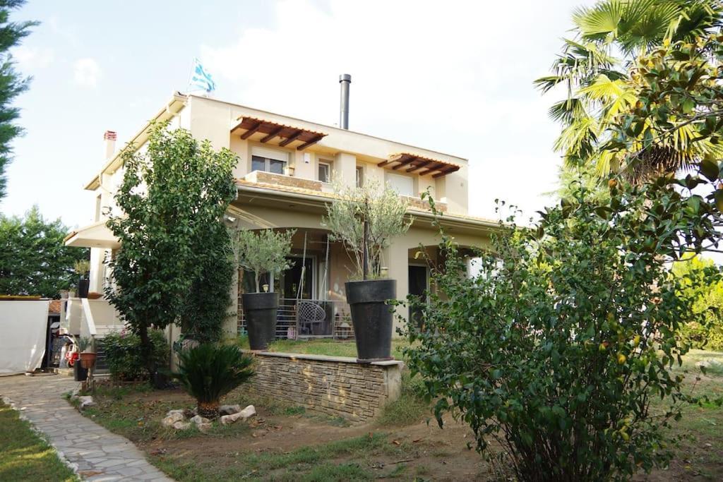 Villa Vasili ตริกาลา ภายนอก รูปภาพ