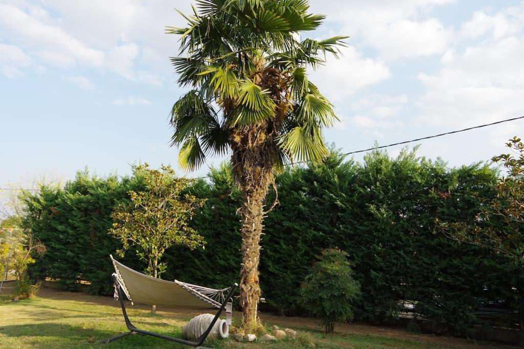 Villa Vasili ตริกาลา ภายนอก รูปภาพ